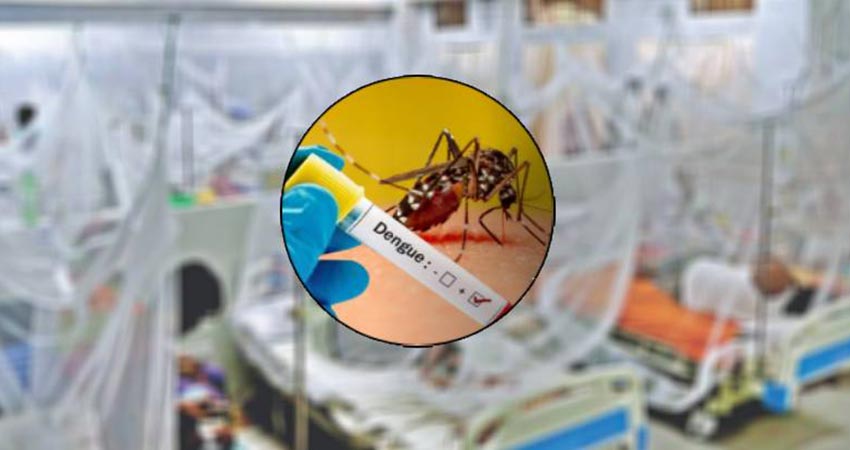 ডেঙ্গুতে একদিনে আরও ১ জনের মৃত্যু, হাসপাতালে ২৪৯