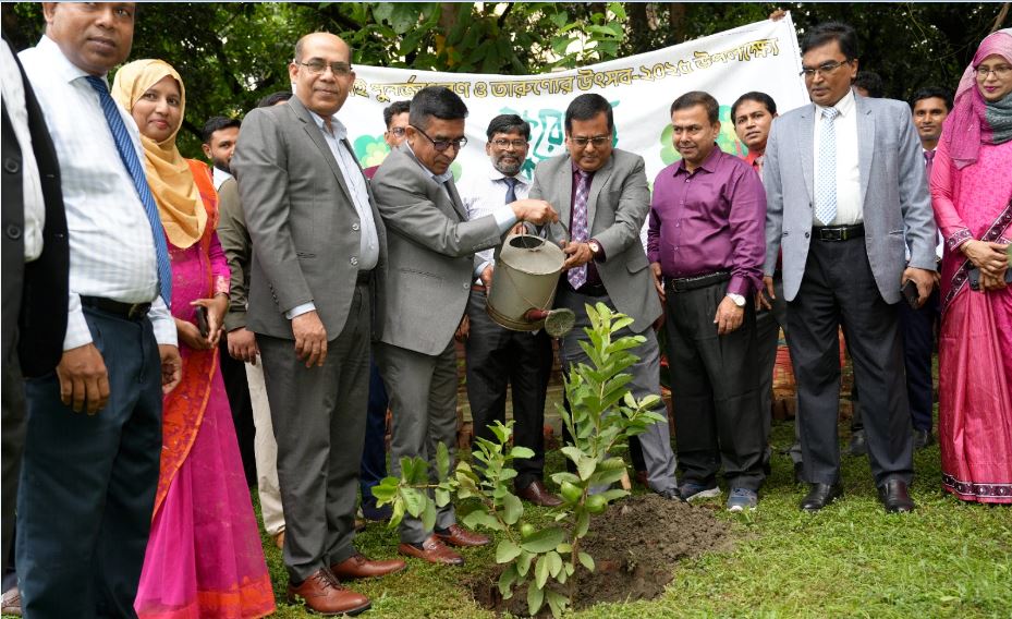 বৃক্ষরোপণ কর্মসূচি পালন করেছে সোনালী ব্যাংক