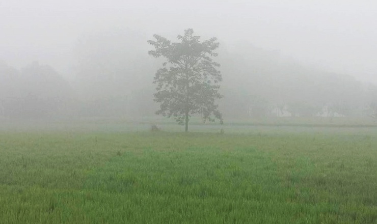 কুয়াশার চাদরে শীতের আমেজ দুই জেলায়