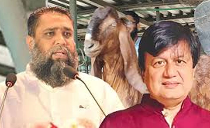  দুর্নীতির মামলায় একই কাঠগড়ায় ছাগলকাণ্ডের মতিউর ও ইমরান