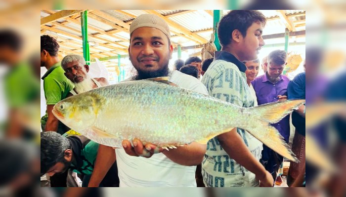 এক ইলিশ বিক্রি হলো ১৪ হাজার টাকায়
