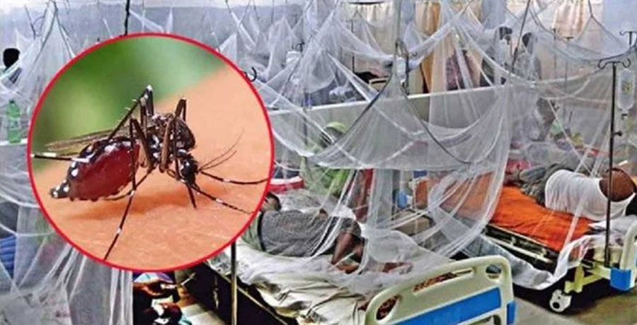 ডেঙ্গুতে আরও ৪ জনের প্রাণহানি, মোট আক্রান্ত ৬০ হাজার অতিক্রম
