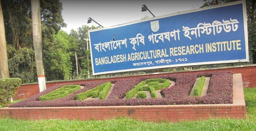 সরকারি চাকরিতে আবেদন ও পরীক্ষা ছাড়াই নিয়োগ, ৪২ জনের বিষয় তদন্তাধীন