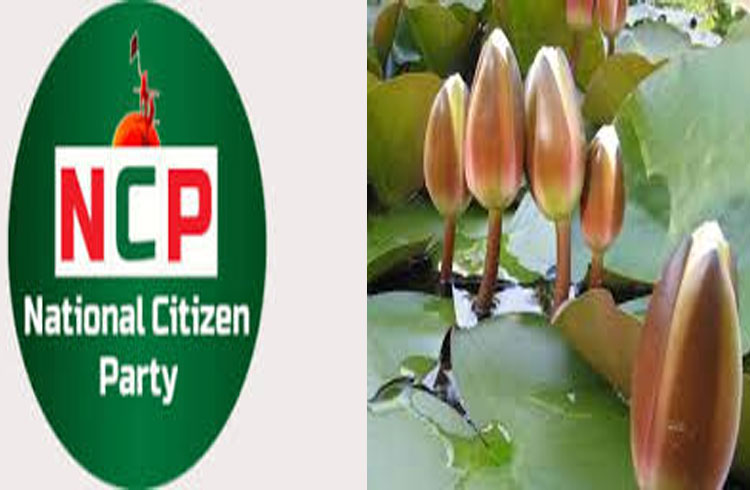 এনসিপিই পাচ্ছে ‘শাপলা কলি’ 