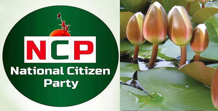 শাপলা কলি’ প্রতীকে আপত্তি নেই এনসিপির