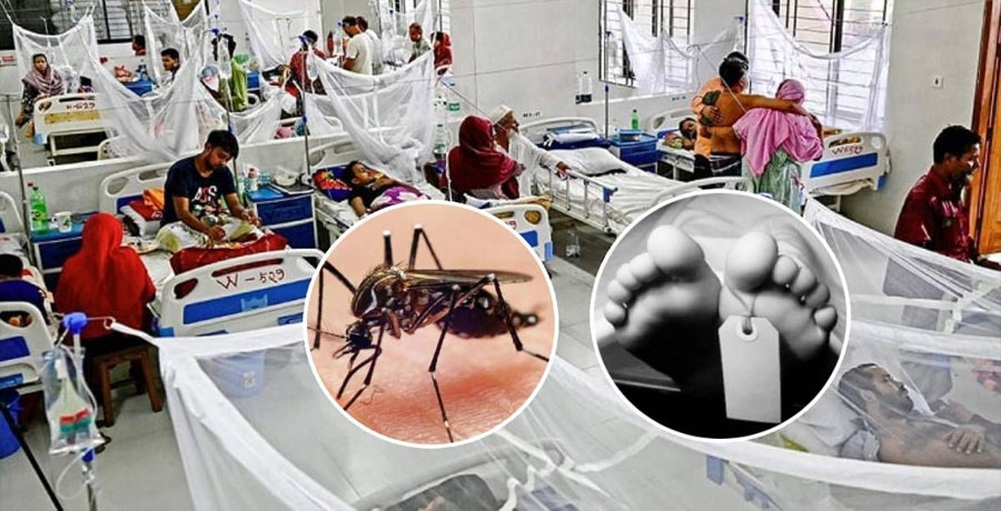 ২৪ ঘণ্টায় ডেঙ্গুতে মৃত্যু ১০, হাসপাতালে ভর্তি ১,০৬৯
