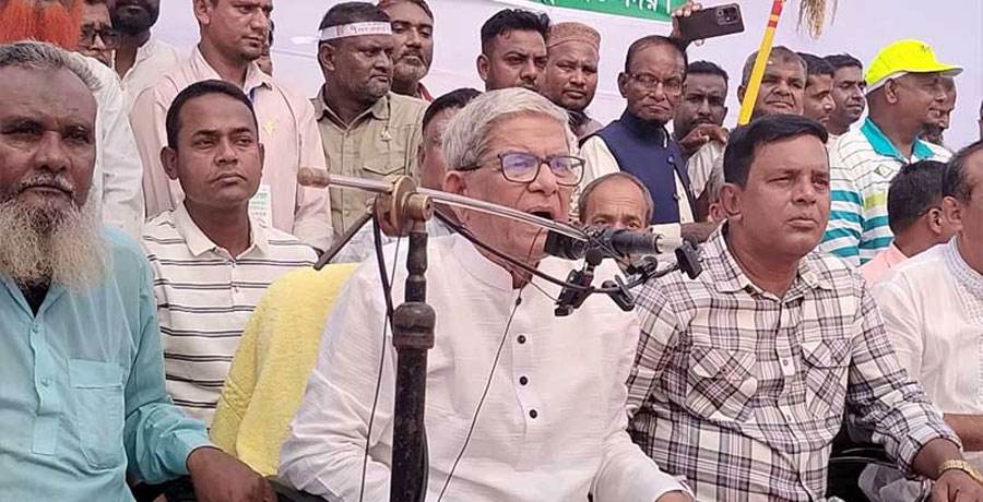 নিজ দেশ ছেড়ে আমরা কখনো পালাব না: মির্জা ফখরুল