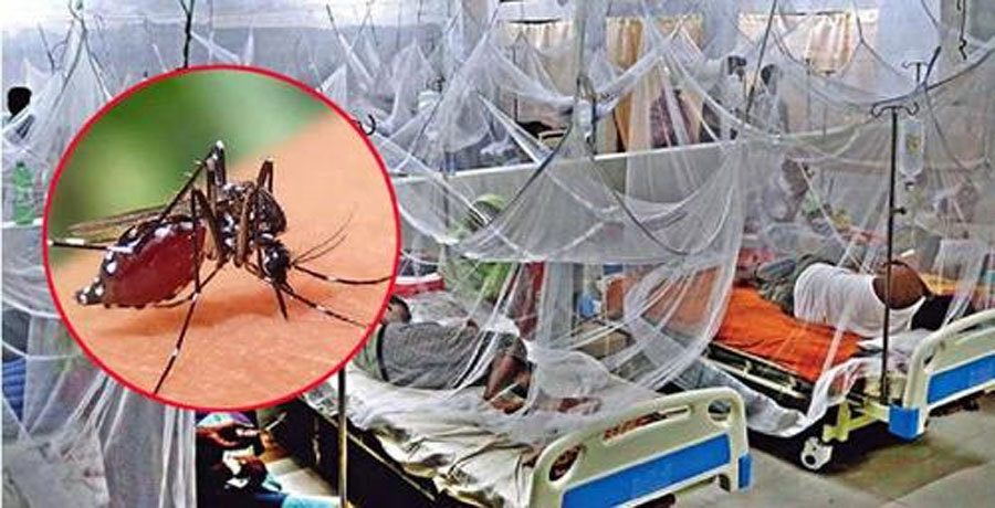 “ডেঙ্গু রোগে ৬ জনের মৃত্যু, হাসপাতালে ভর্তি ১১৯৫